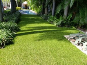 landscaping turf