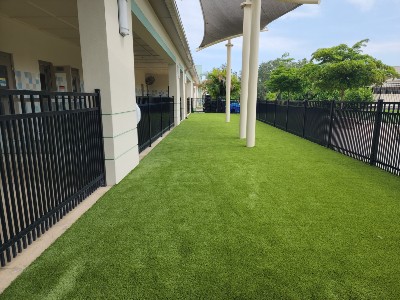 fake grass for pets