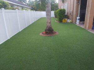 Synthetic Pet Turf Installation in Tampa