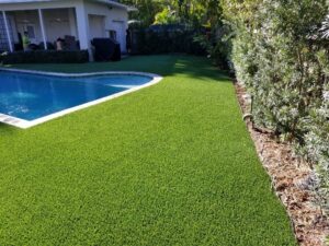 Synthetic Pool Area Turf in Tampa Florida