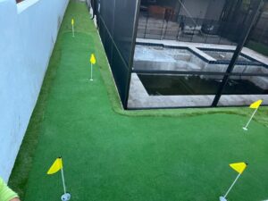 Commercial lawn turf