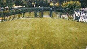 Premium artificial grass products