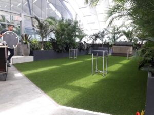 Astroturf Rooftop grass