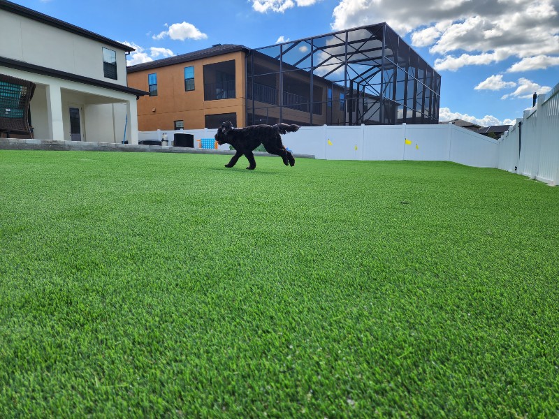 K9 Turf Installation