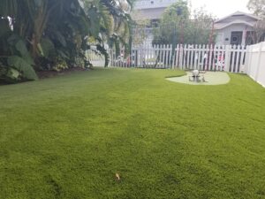 Commercial Astroturf Installation in Tampa