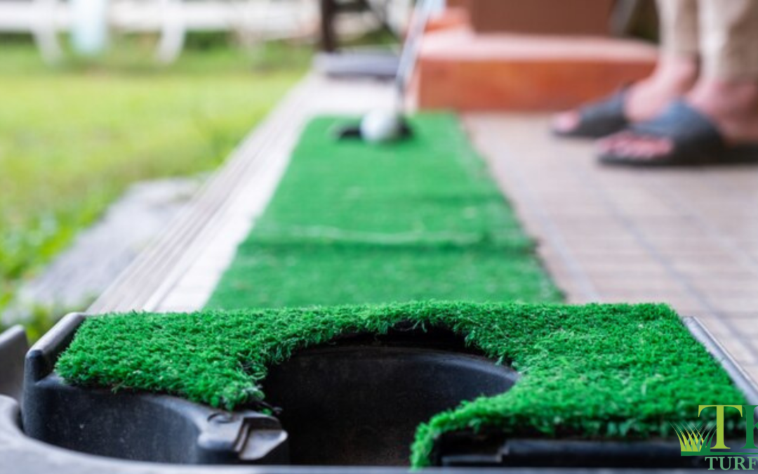 Everything You Need to Know About Astro Turf for Landscaping