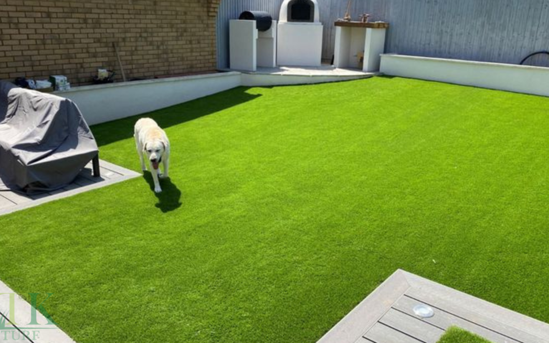 Professional Artificial Grass Installation in Tampa – Why Choose Synthetic Turf?